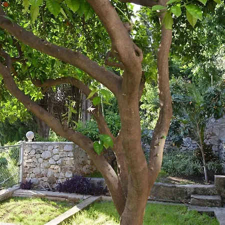 Urban Ambiance Apartmán