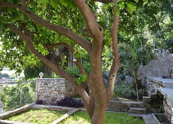 Urban Ambiance Apartament