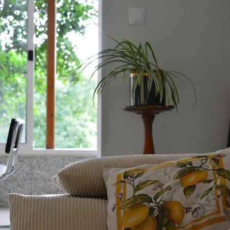 Διαμέρισμα Urban Ambiance Ντουμπρόβνικ